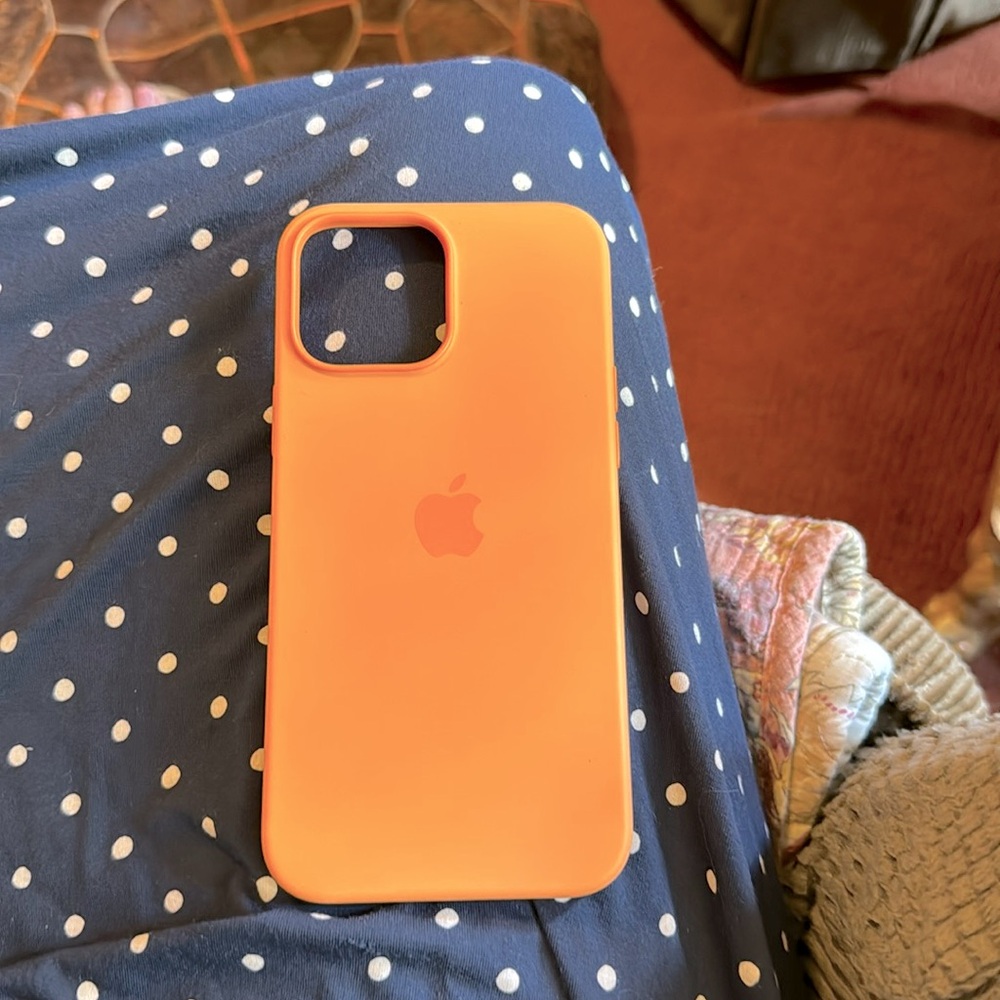 Apple case genuine iPhone 13 pro max